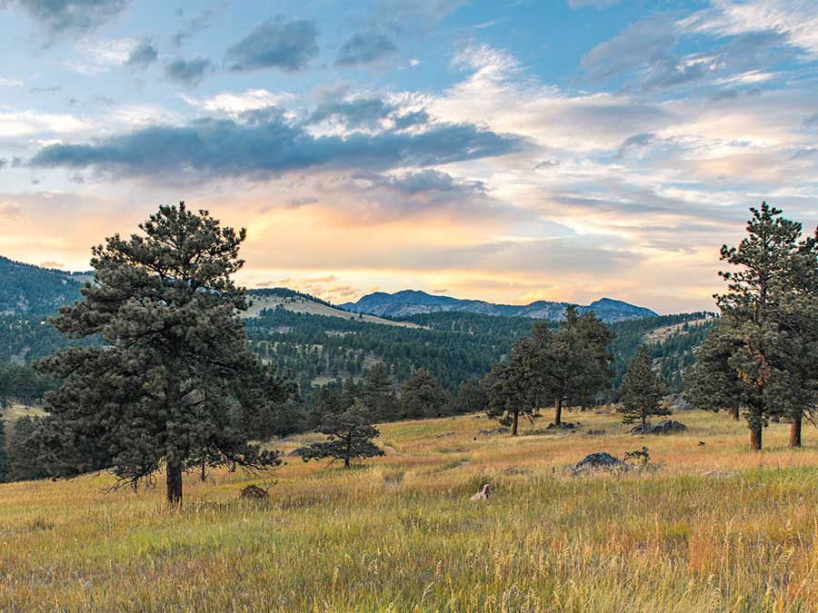 Golden Colorado – Where Earth’s Hues Meet the Sky Golden Colorado – Where Earth’s Hues Meet the Sky