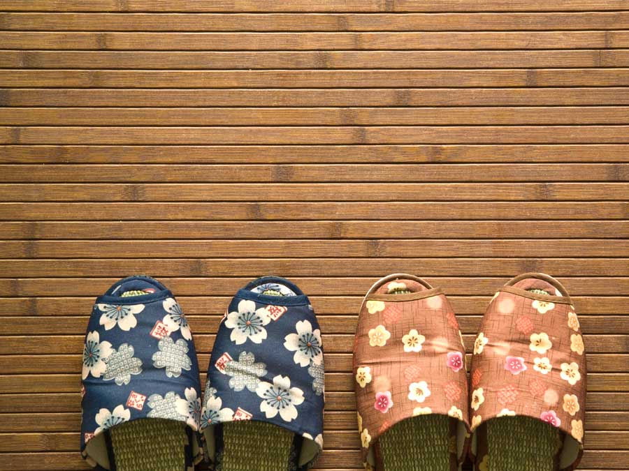 Japanese slippers