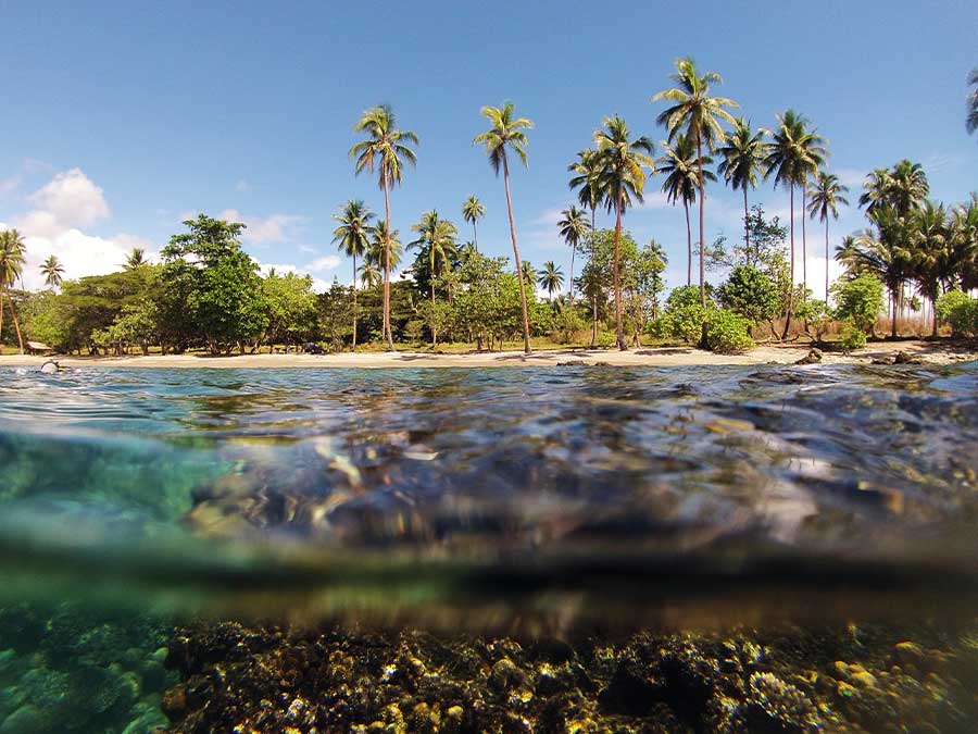 Guadalcanal, Solomon Islands