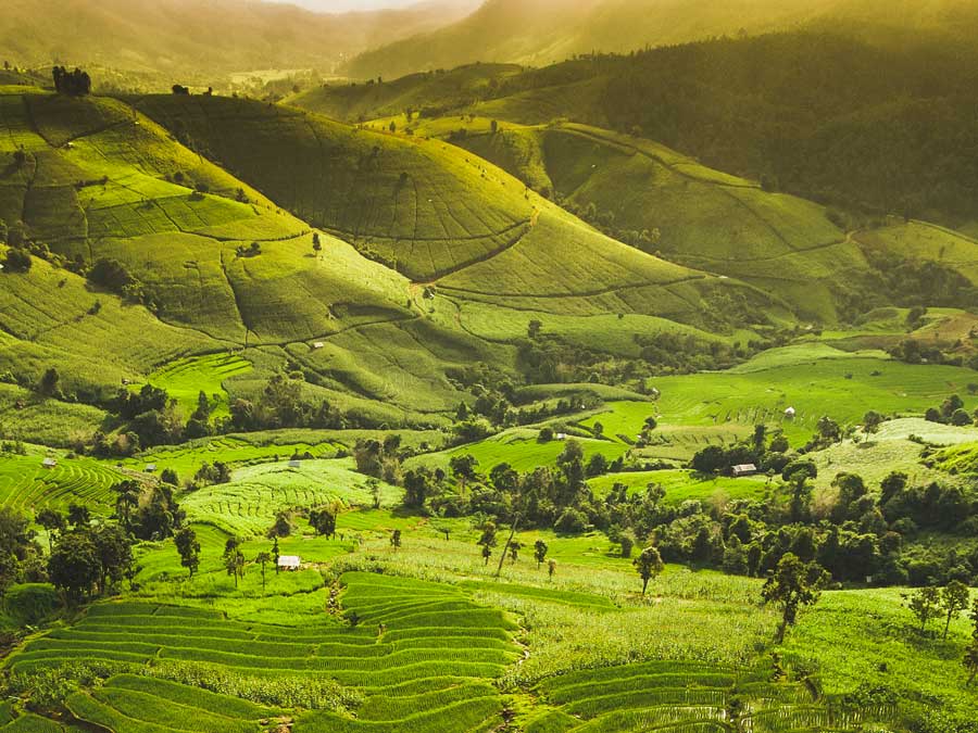 Beautiful sunset at panoramic landscape of terrace rice field and mountains in Malaysia