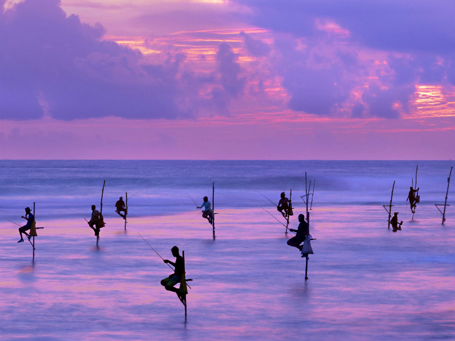 Stilt fishing in Sri Lanka