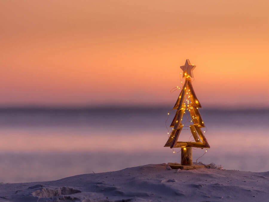 Christmas tree on beach