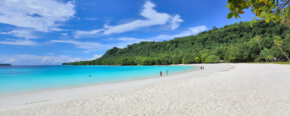 Ocean, beach and tropical forest landscape